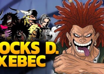 غلاف طاقم روكس دي زيبك ون بيس